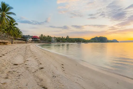 Quinale Beach at sunrise with town and coconut palms