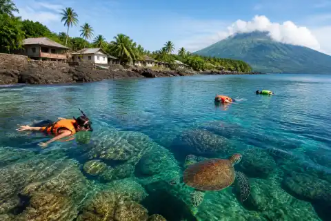 Snorkelers and a green sea turtle near Apo Island shoreline