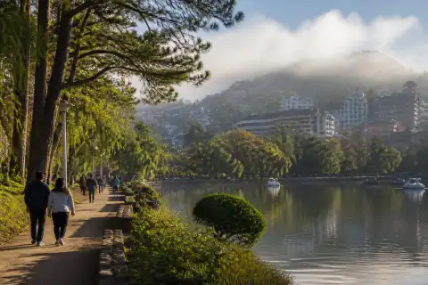 Morning walkers in Burnham Park with pine trees and Baguio city buildings in light fog