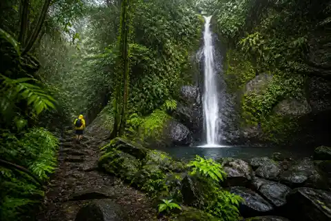 Binangawan Falls in a shaded Camiguin rainforest with moss-covered rocks and a rocky pool