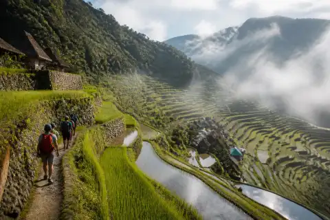 Hikers on amphitheater-shaped Batad rice terraces near Banaue in morning mist