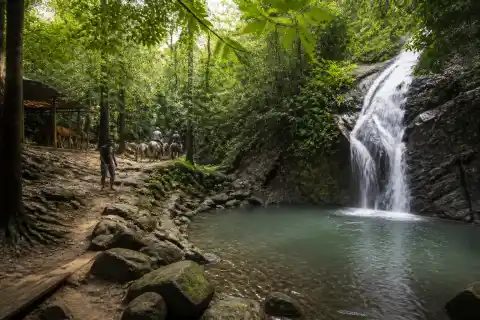 Small waterfall and pool in a shaded Subic forest with a muddy trail