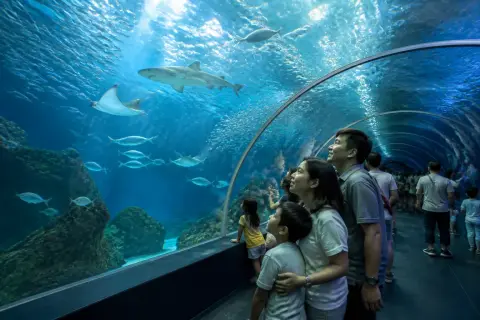 Families watching fish, rays and a shark in the Oceanarium tunnel at Manila Ocean Park