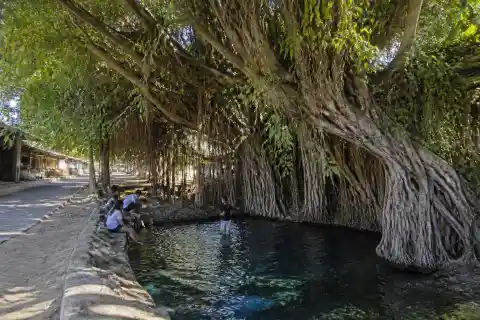 Old Enchanted Balete Tree with visitors at the spring-fed pool in Campalanas, Lazi, Siquijor