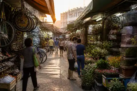 Morning lane at Cartimar market with shoppers and specialist stalls