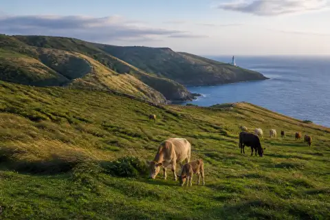 Rolling grass pasture and coastal ridges at Racuh a Payaman, Mahatao, Batanes