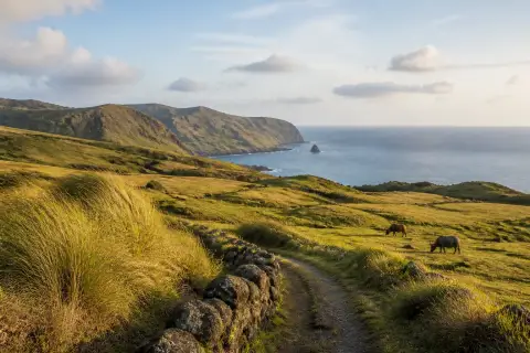 Rolling grass pastures and coastal cliffs at Racuh a Payaman, Batanes