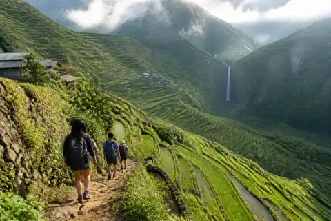 Hikers descending Batad rice terraces toward Tappiya Falls in morning mist
