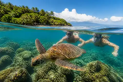 Snorkelers watching a sea turtle over coral near Apo Island