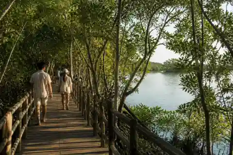 Omagieca Obo-ob mangrove boardwalk with visitors on Bantayan Island
