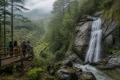 Bokong Falls in Sagada with pine trees, terraces and visitors at a viewing platform