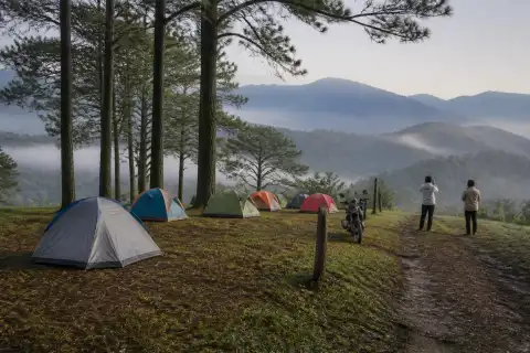 Pine-forest campsite with tents and morning mist in Bucari, Leon