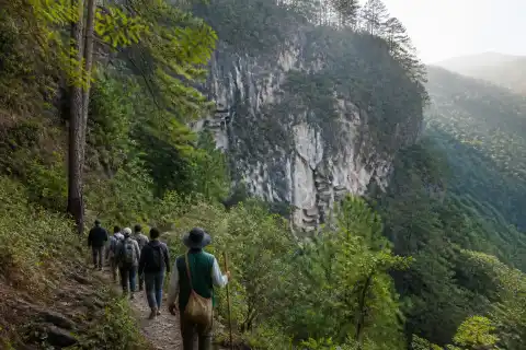 Pine slope, limestone cliff and hanging coffins at Echo Valley, Sagada