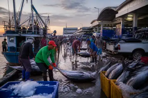 Early-morning tuna unloading at General Santos Fish Port