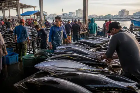 Vendors and buyers around tuna stalls at a busy General Santos fish market with city buildings behind