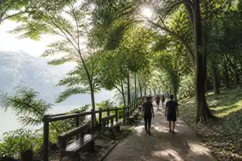 Shaded tree-lined walking path and reservoir edge at La Mesa Eco Park, Quezon City