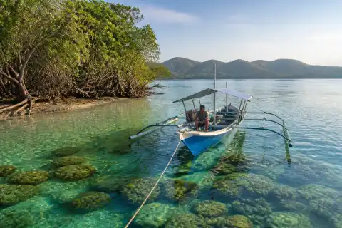 Small outrigger boat by mangrove-fringed shoreline at Malaking Patag, Culion