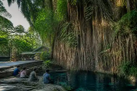 Old Enchanted Balete Tree and spring-fed pool with visitors at the pool edge