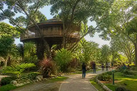 Wooden treehouse and shaded garden path at Pasonanca Park, Zamboanga City