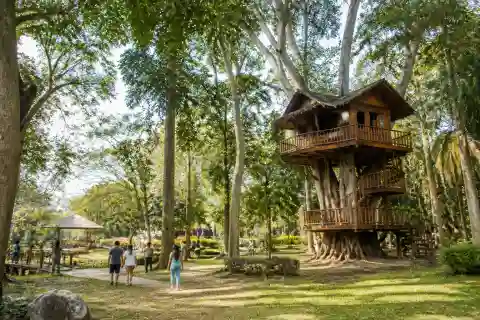 Pasonanca Park tree house and shaded recreation lawn in Zamboanga City