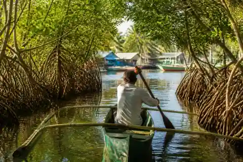 Small boat navigating a mangrove channel in Prieto Diaz, Sorsogon