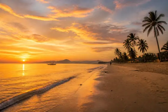 Sunset over Long Beach, San Vicente with scattered palms and wet sand reflections