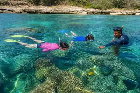 Snorkelers floating over coral reef near San Fernando, La Union