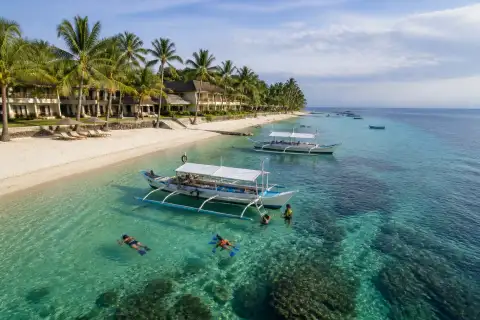 Outrigger boats and snorkelers off a palm-lined Panglao shoreline