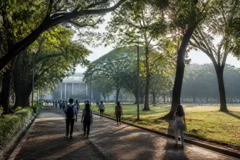 Students walking along the tree-lined Academic Oval at UP Diliman