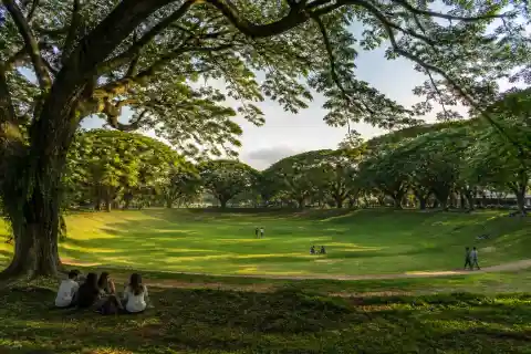 UP Diliman Sunken Garden lawn and tree-lined Academic Oval with people