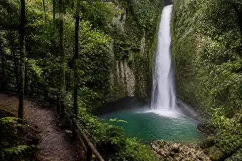 Can-umantad waterfall plunging into a forest pool near Anda, Bohol