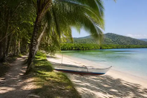 White Beach Port Barton with pale sand, coconut trees and a local outrigger boat on the shore