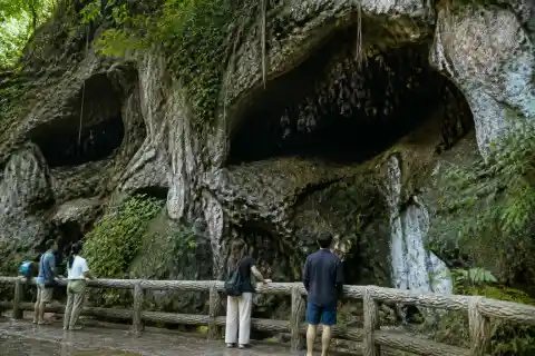 Visitors observing a dense fruit‑bat colony at cave openings on Monfort Bat Sanctuary, Samal Island