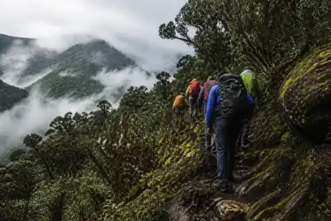 Hikers on a misty montane trail in Mount Kitanglad Range