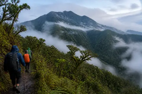 Misty forested ridge of Mount Kitanglad with hikers on a trail
