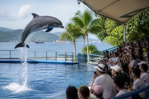 Dolphin mid-jump during a show at Ocean Adventure, Camayan Wharf, Subic Bay