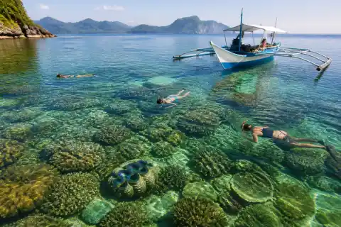 Snorkelers and a small boat over coral and a giant clam at Tecas Reef, Taytay Bay
