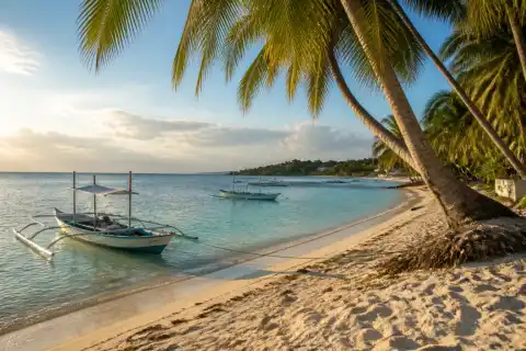 Panglao beach with outrigger boats and coconut trees at sunset