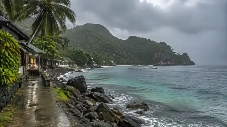 Apo Island Rainy Day Travel Guide Philippines travel guide