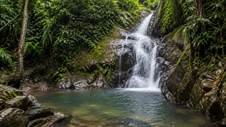 Bigaho Falls Best Time to Visit and Practical Tips
