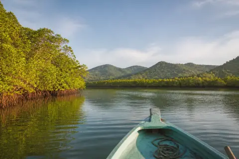 Small local boat in Malampaya Sound with mangrove-lined shore under morning light