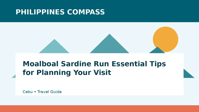 Moalboal Sardine Run Essential Tips for Planning Your Visit Philippines travel guide